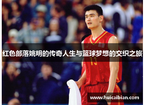 红色部落姚明的传奇人生与篮球梦想的交织之旅